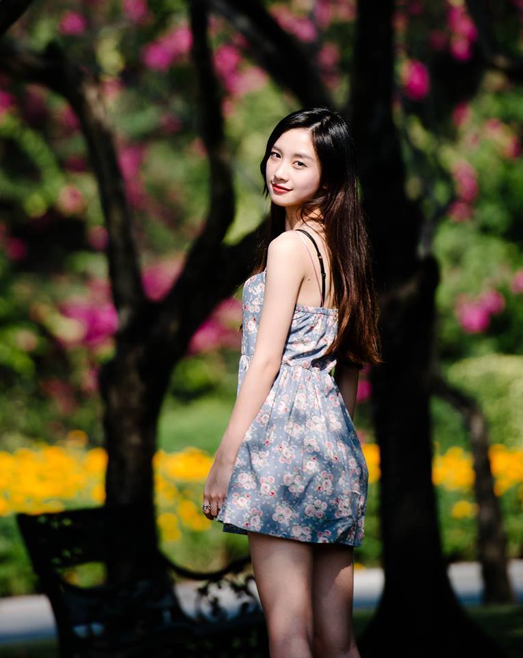 公爵的契约未婚妻第一季会出吗